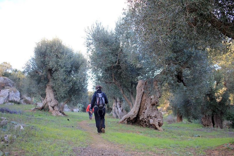 Vacanza a piedi -Trekking in Puglia